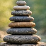 best vegan joint supplements