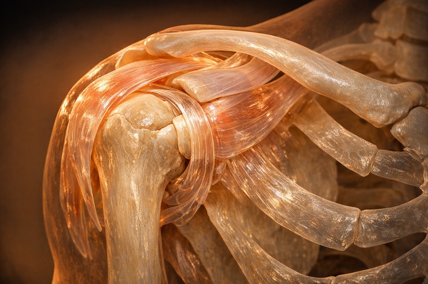 are expensive joint supplements worth it