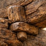 optimsm sulfur-based compound connective tissue