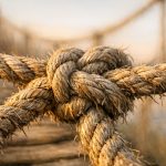 joint health vs bone health