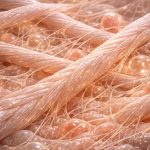 cartilage loss breaks down rebuilt